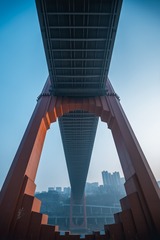 1000061543