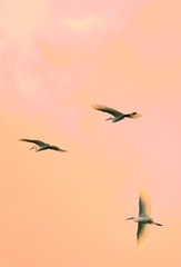 1153085