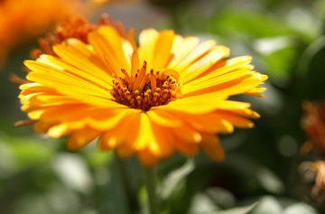 P5029199