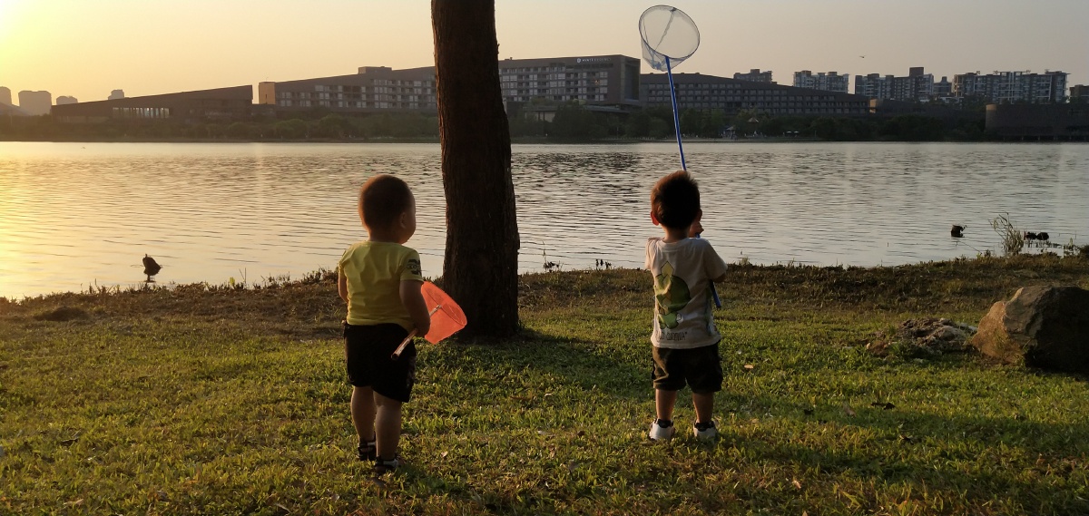 童年小朋友们网鱼去