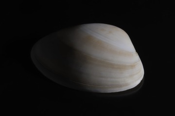 593937