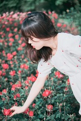 AB65E3B8-3177-4D53-B9D1-63AD2000DCE9/L0/001