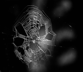 E5922474-98B3-4EF3-B3F1-4CAC16EE810B/L0/001