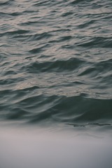 C2CC5539-C0B6-4CEA-AE79-CD4CB1C1276C/L0/001