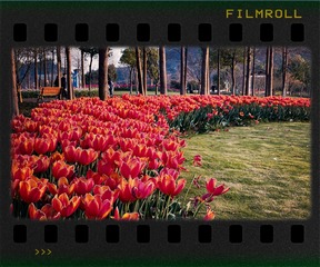06841A34-2563-4A18-A23F-0DB056C97AC4/L0/001