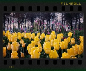 78C93679-27E5-45EE-AFD8-F201382B9318/L0/001