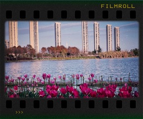 1B9ABCA1-7104-4803-B13D-994A233DD7DC/L0/001
