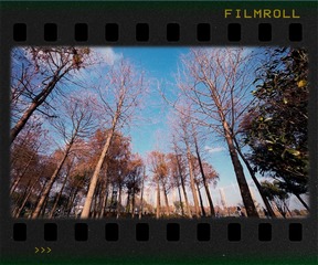 F334735E-187D-4BC6-8769-8ABD2E7E5561/L0/001
