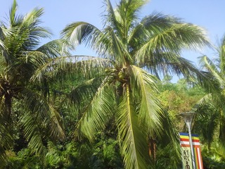 20130103_112428