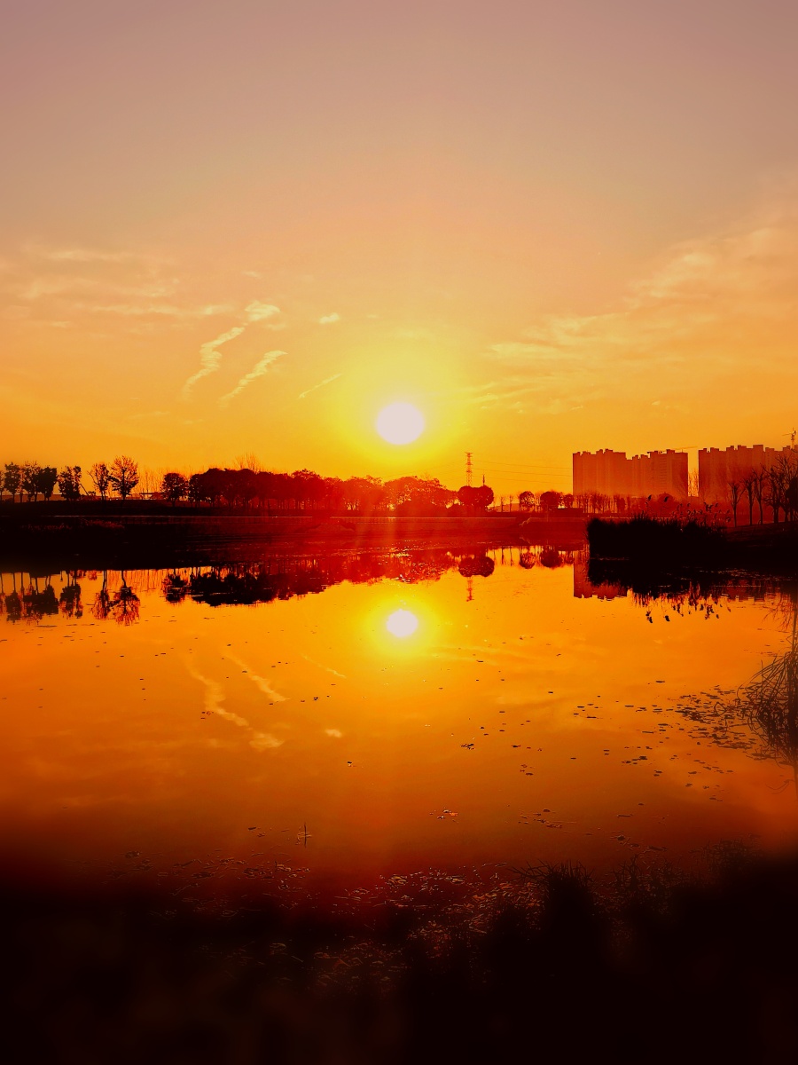 饮马河畔阳光暖冬日朝霞芙蓉艳摄于河南许昌芙蓉湖