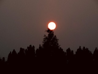 3608077