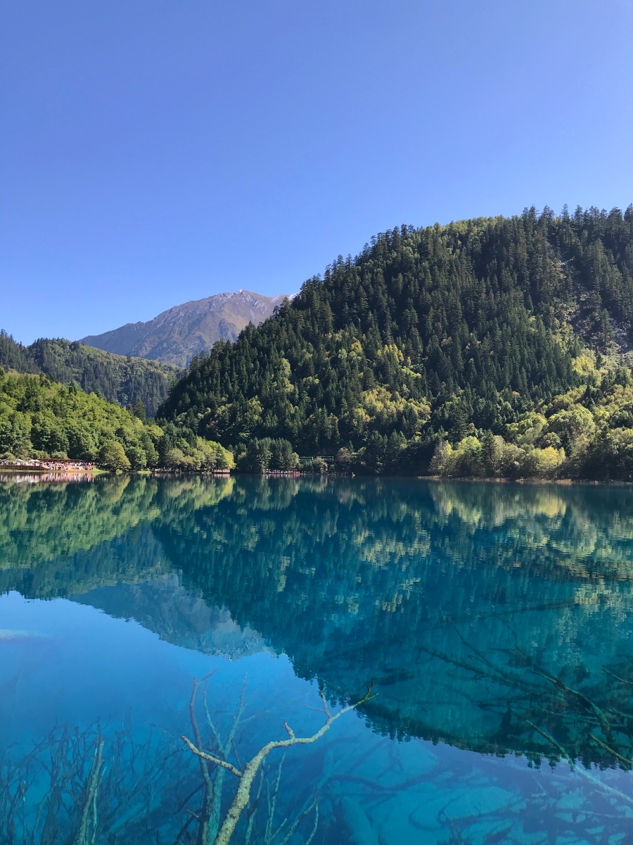 九寨沟五花海四