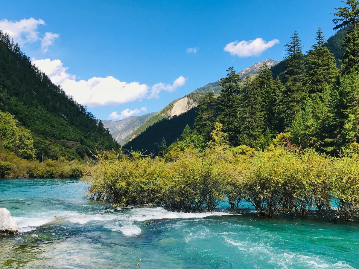 九寨沟树正群海(三)