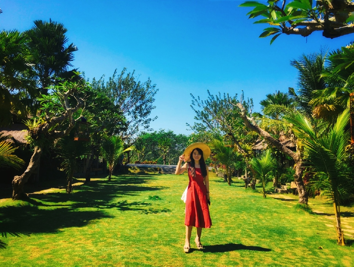 懵逼树上懵逼果懵