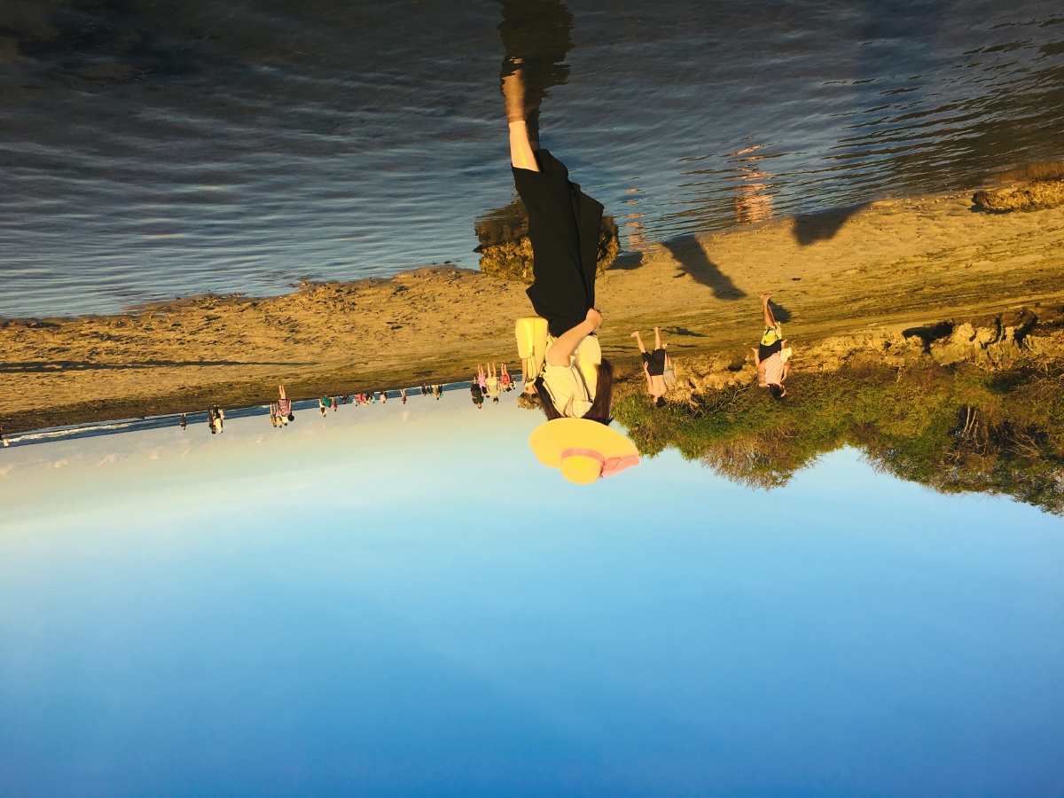 懵逼树上懵逼果懵