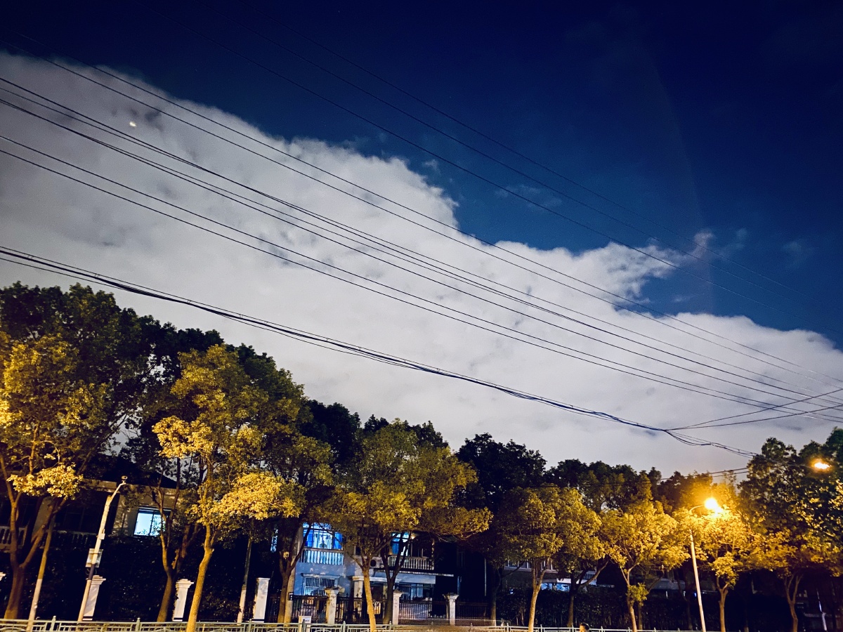 虽然你很美但我要回家