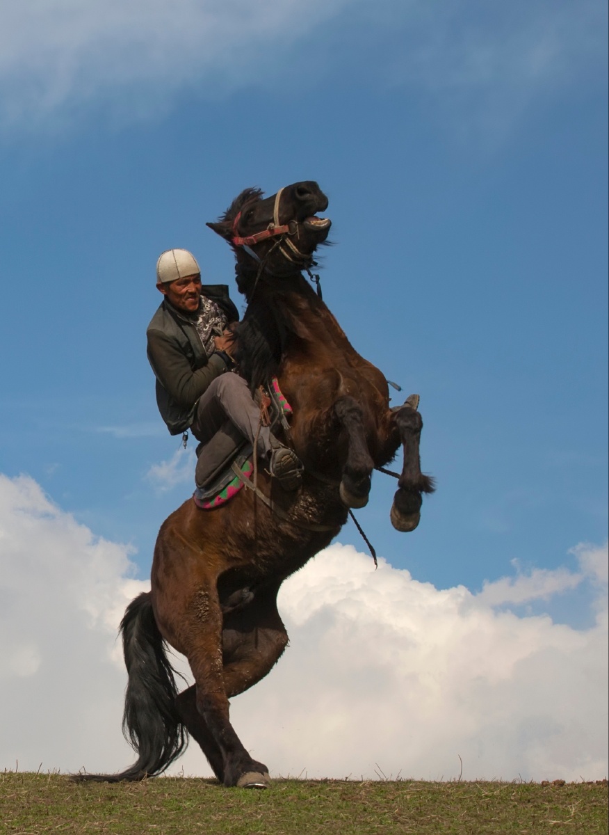 论道s2019年6月8日905关注马跃马骑马七日摄影打卡计划人像#放牧canon