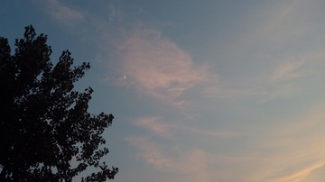 2438298
