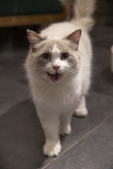 288020