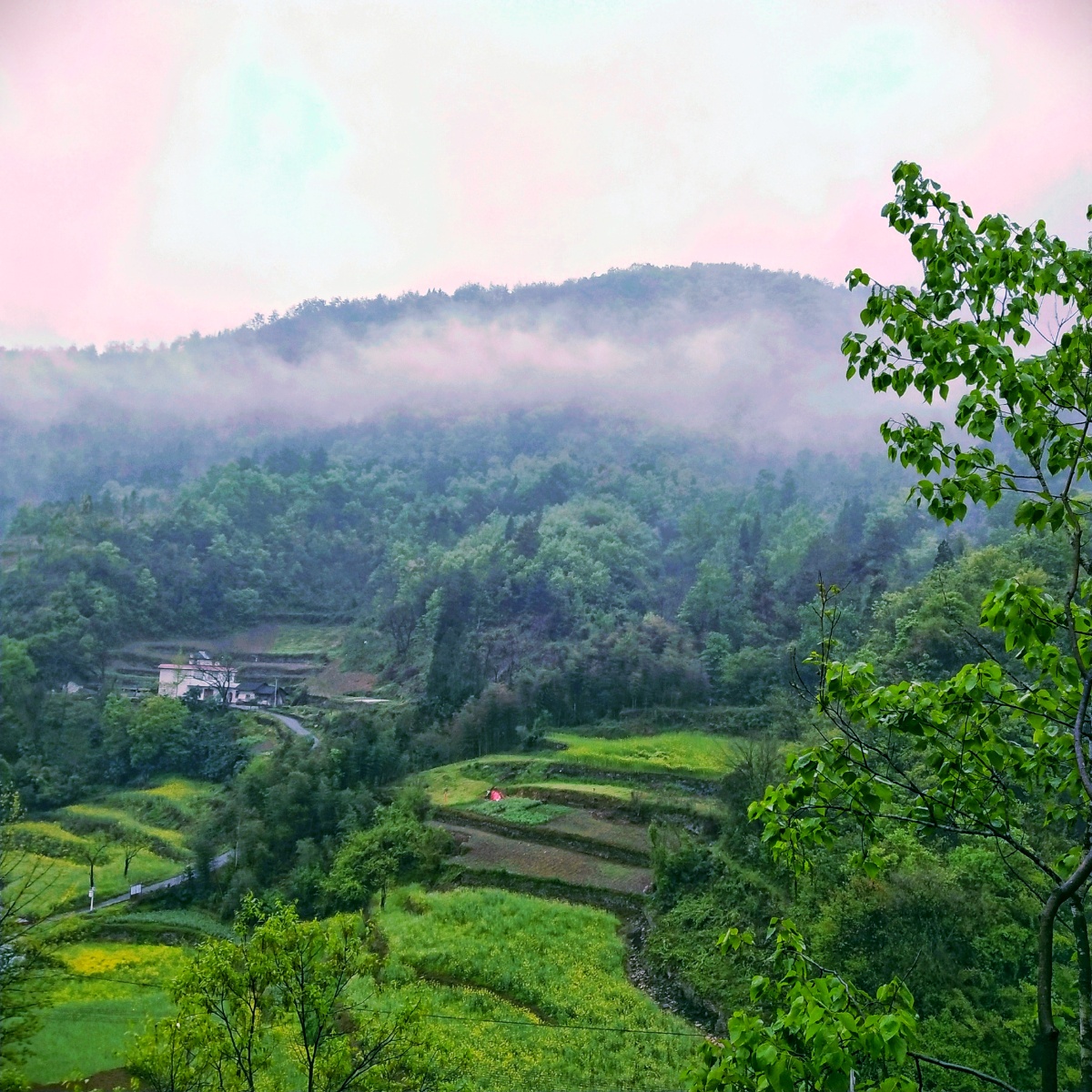 雨后的乡村满满的生机
