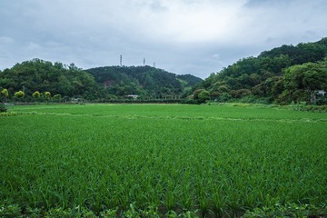 035F7726-23C5-498F-8646-1172135FA2A7/L0/001