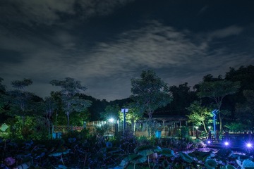 AB63524C-DC3B-40EA-9EE1-4E572F2C7DEA/L0/001
