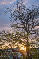 610B18EF-D717-42AF-A294-0473E42E3CEF/L0/001