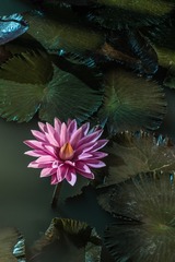 A54963E9-9684-4DD8-8A5F-A8F39A1F4D49/L0/001