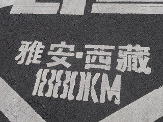 2984291