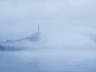 4432605