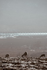 1000019240