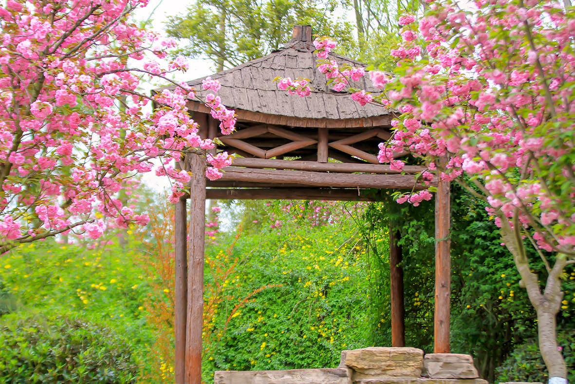 樱花亭
