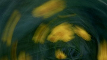 902E8085-8603-4946-9E5A-5EC8488C2287/L0/001