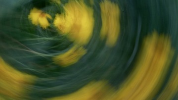 16122D01-0A70-4188-88C2-ADD0E281FFDF/L0/001