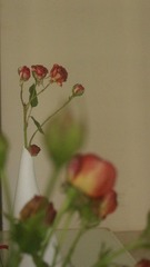 F86E891A-7BD7-46E8-B155-359CE3C6DD5A/L0/001