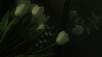 76F60307-8785-4AA4-B9A5-F1E6A9C2B579/L0/001