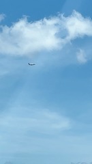 77F402E4-C2B5-438F-80B2-6AA9D4C4E282/L0/001