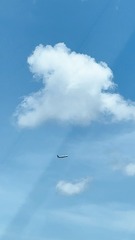 06206CFC-D30F-4B48-9BFF-204293C5A493/L0/001