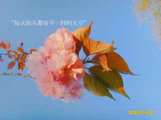 277295B0-50C2-45A6-AF2E-12F1EBEB9EAD/L0/001