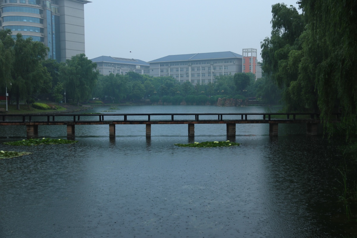 下大雨在别人学校湖边拍的