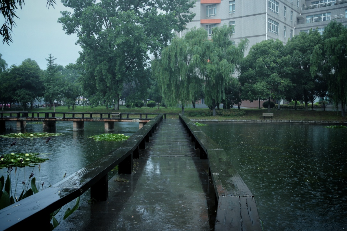 下大雨在别人学校湖边拍的