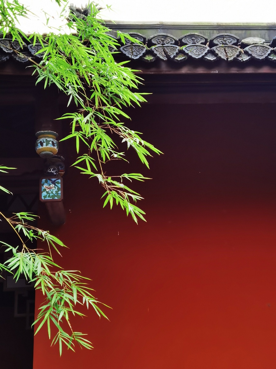 绿竹依红墙红墙映绿竹