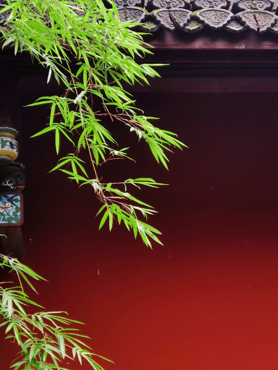 绿竹依红墙红墙映绿竹