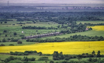 3379038