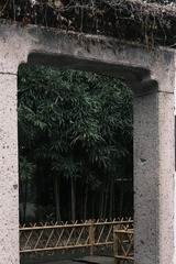 AE275DB0-8105-42F8-A790-10BA407F6178/L0/001