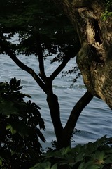 0733996A-83A3-4474-8499-E8B4B0ADF033/L0/001