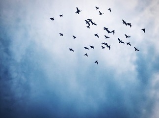 170D9052-61CC-4E3D-9E86-042C002B6C2B/L0/001