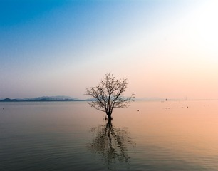 DSC_3953-2-2