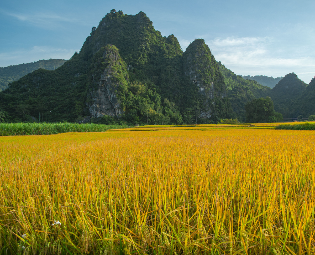 乡村风光一片丰收的景象好山好水好风光