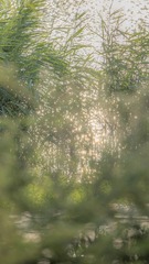F161D541-4347-4AC8-80C1-3A0053C21C55/L0/001